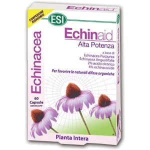 ECHINAID caps.60kom(ESI)