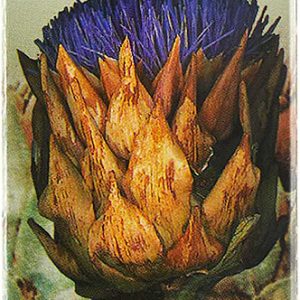 KAPI ARTIČOKA 30ml (sf)