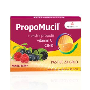 HERBIKO PASTILE Š.VOĆE CINK+C a24