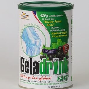 GELADRINK fast 420gr